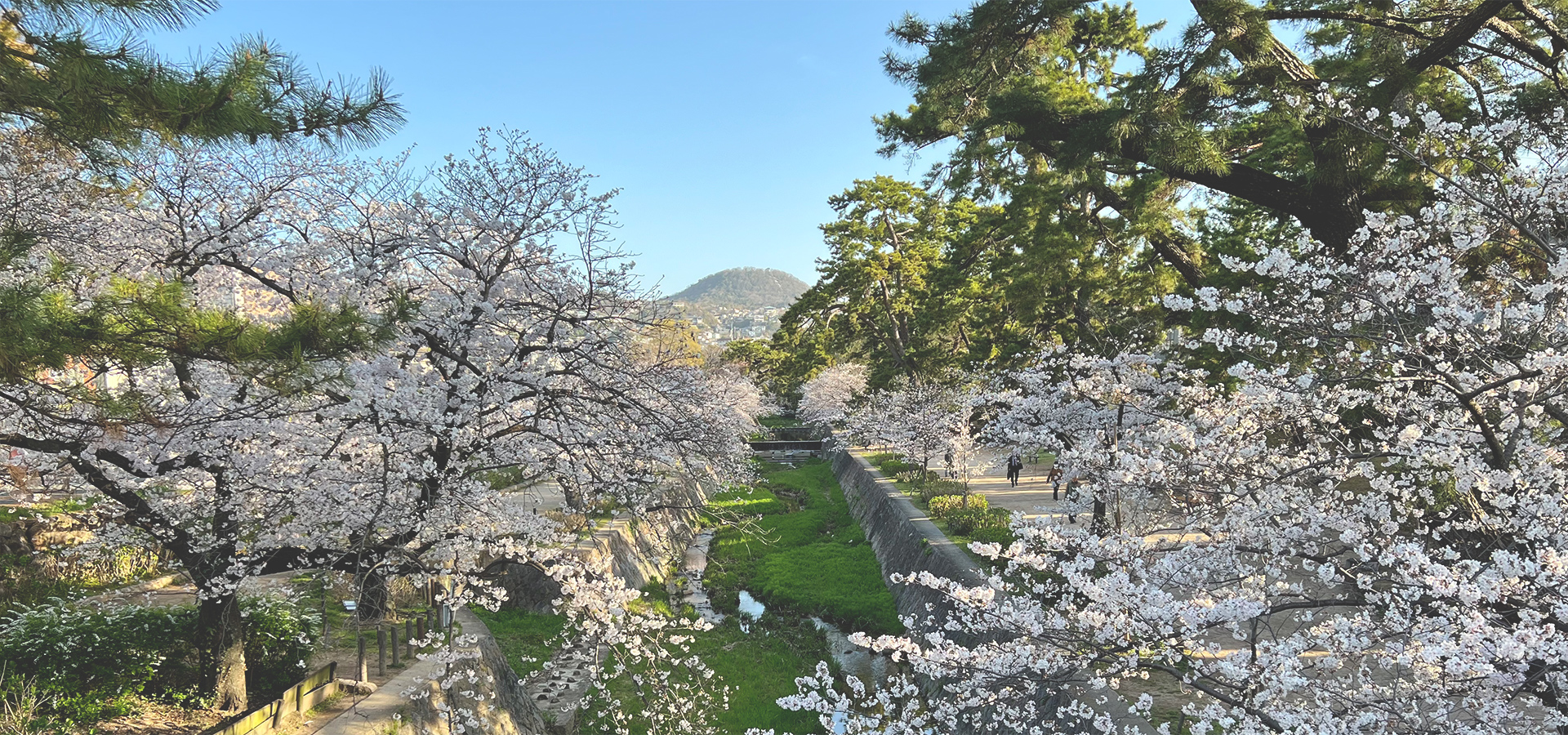 三浦歯科医院