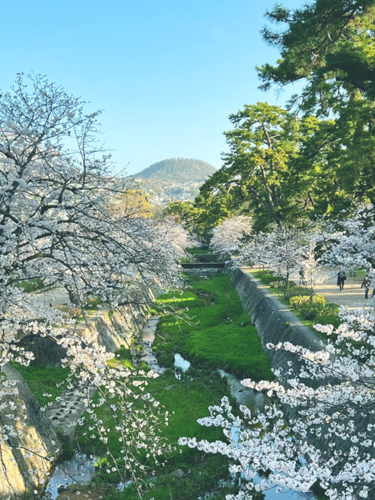 三浦歯科医院